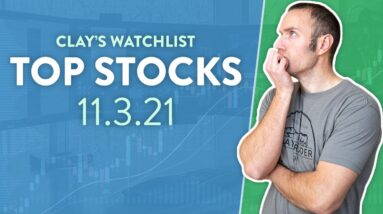 Top 10 Stocks For November 03, 2021 ( $OCGN, $CAR, $AMC, $FCEL, $OLB, and more! )