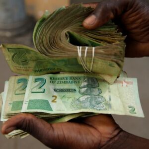 Zimbabwe suspends bank lending in bid to arrest currency decline