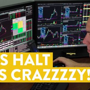 [LIVE] Day Trading | This Stock Halt Was Crazzzzy!