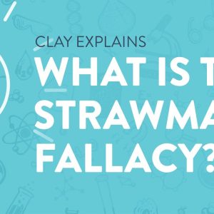 What is the Strawman Fallacy?