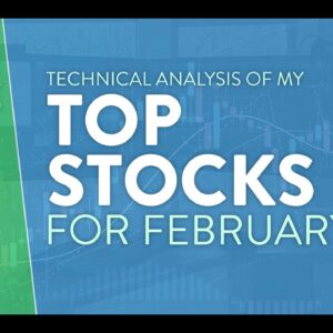 Top 10 Stocks For February 10, 2023 ( $HPCO, $SLQT, $TSLA, $GOOG, $AMC, and more! )