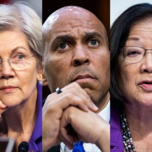 These 14 Democratic senators broke with Biden and voted against striking down the DC criminal code