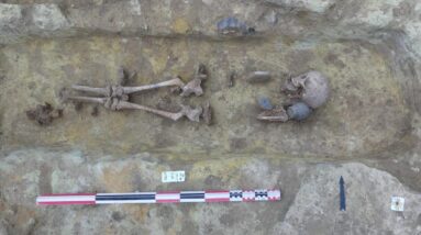 A commuter train excavation near Notre Dame Cathedral has uncovered a 2,000-year-old necropolis containing bodies buried with coins in their mouths and an entire pig skeleton